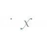 Direxion Daily 20+ Year Treasury Bull 3X Shares Logo